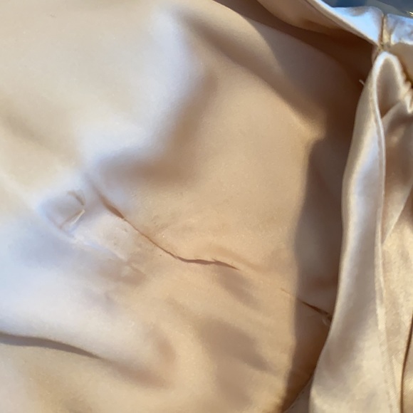 Nicole Miller Champagne Floor Length Dress - Picture 13 of 14